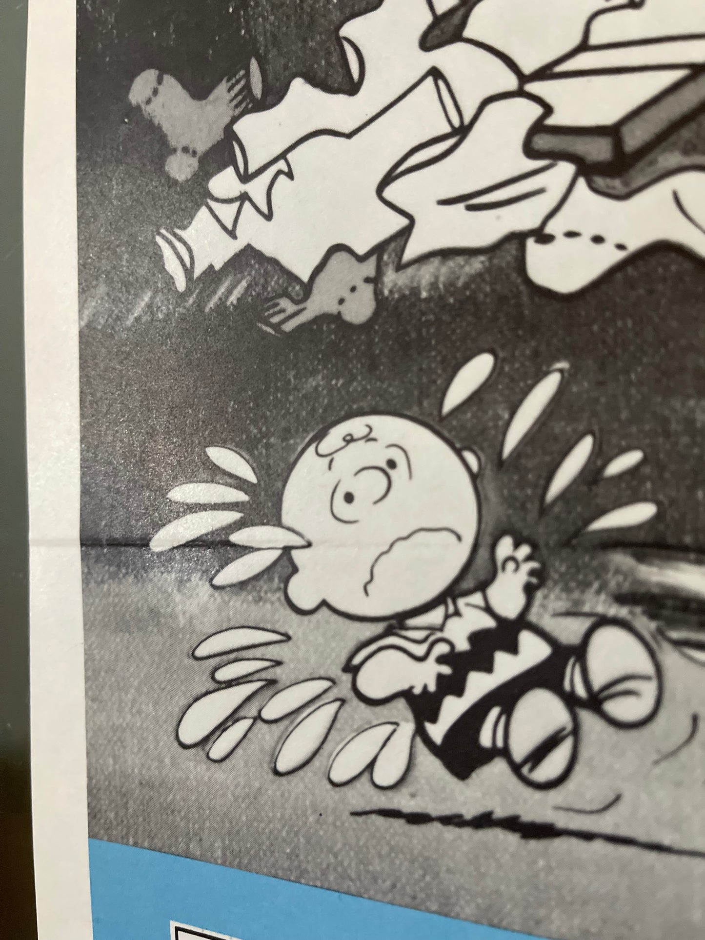 Bon Voyage, Charlie Brown (and Don't Come Back!) (1980) - Daybill