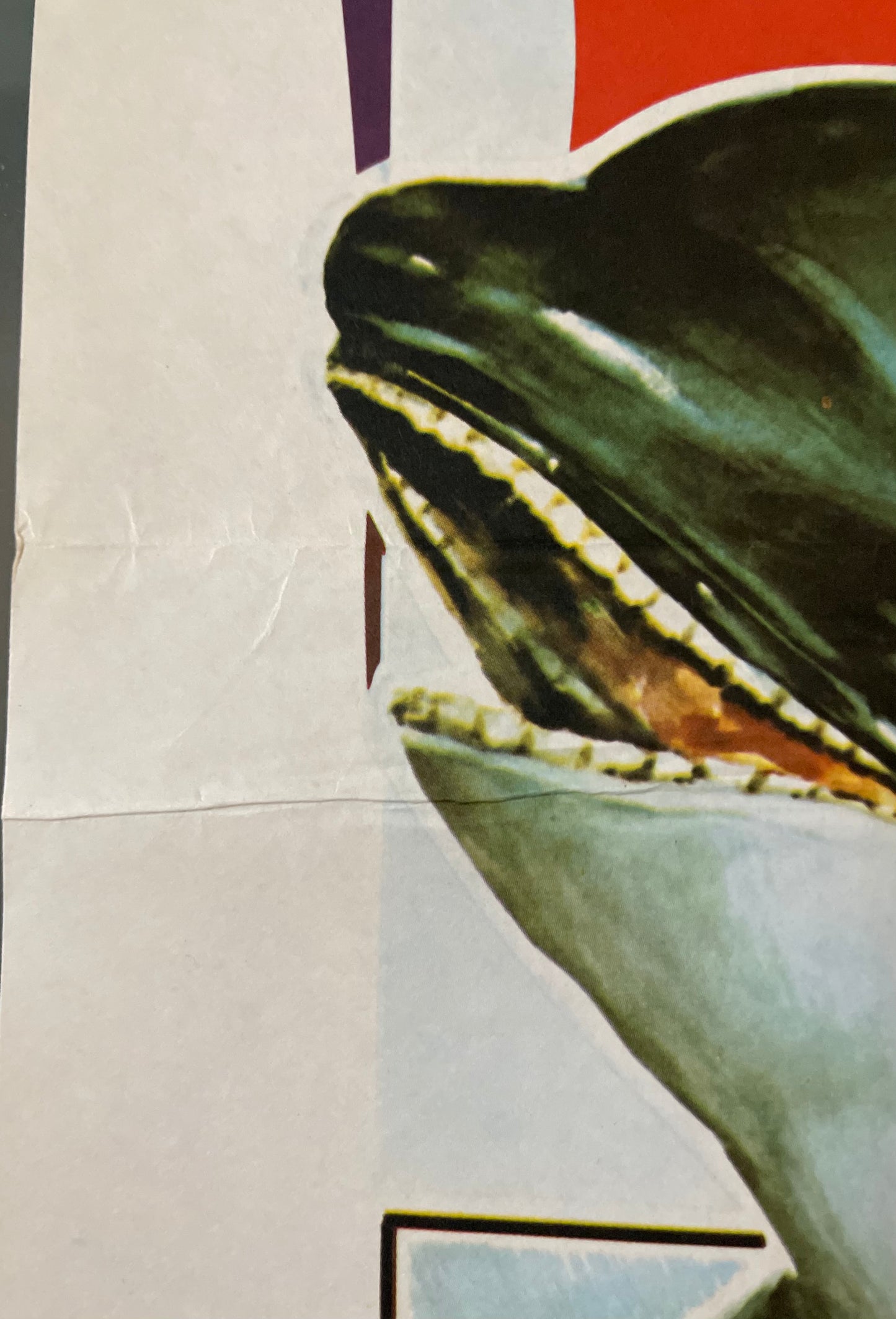 Joey And The Dolphin (1984) - Daybill