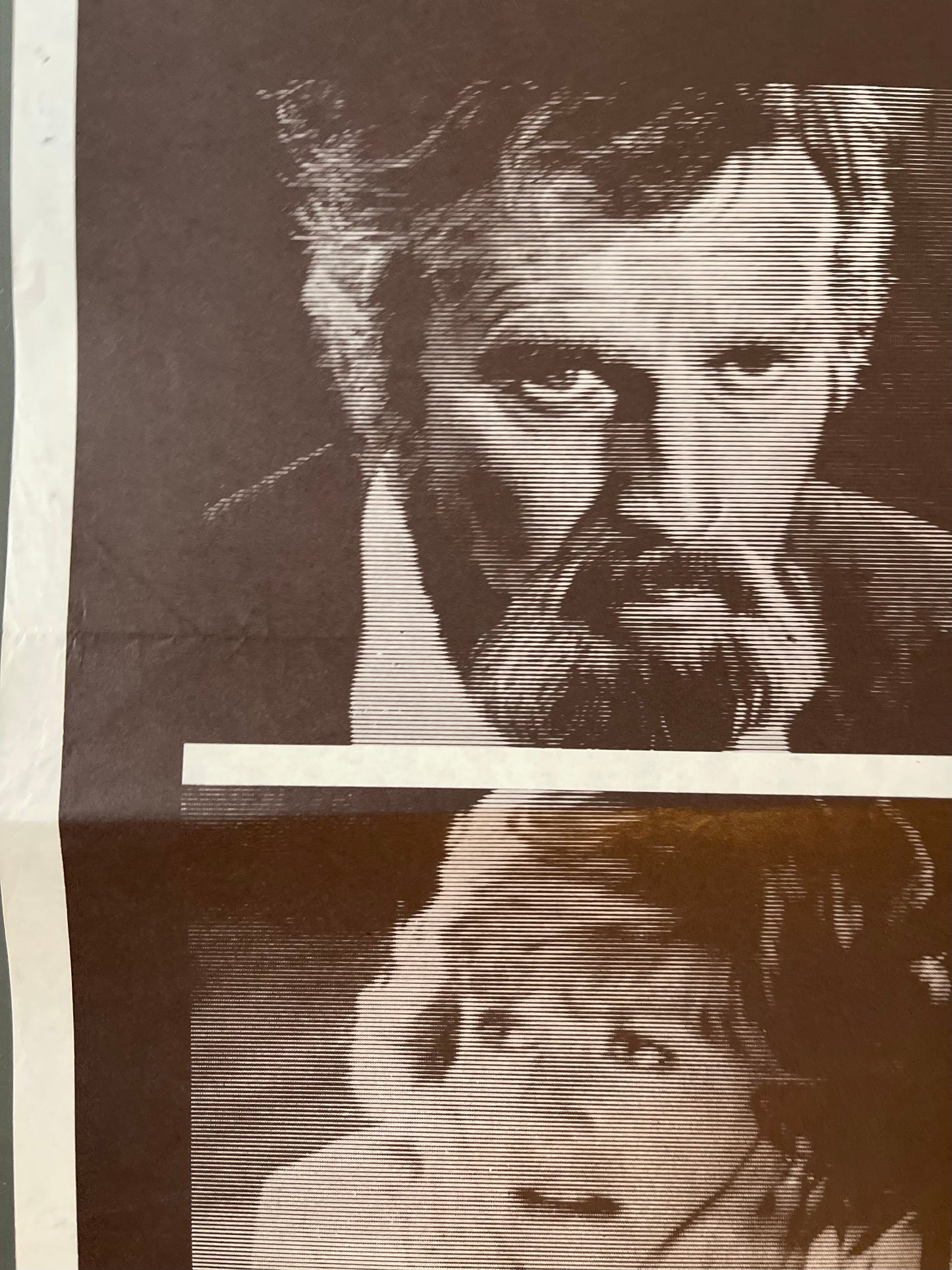 The Awakening (1980) Charlton Heston - Daybill