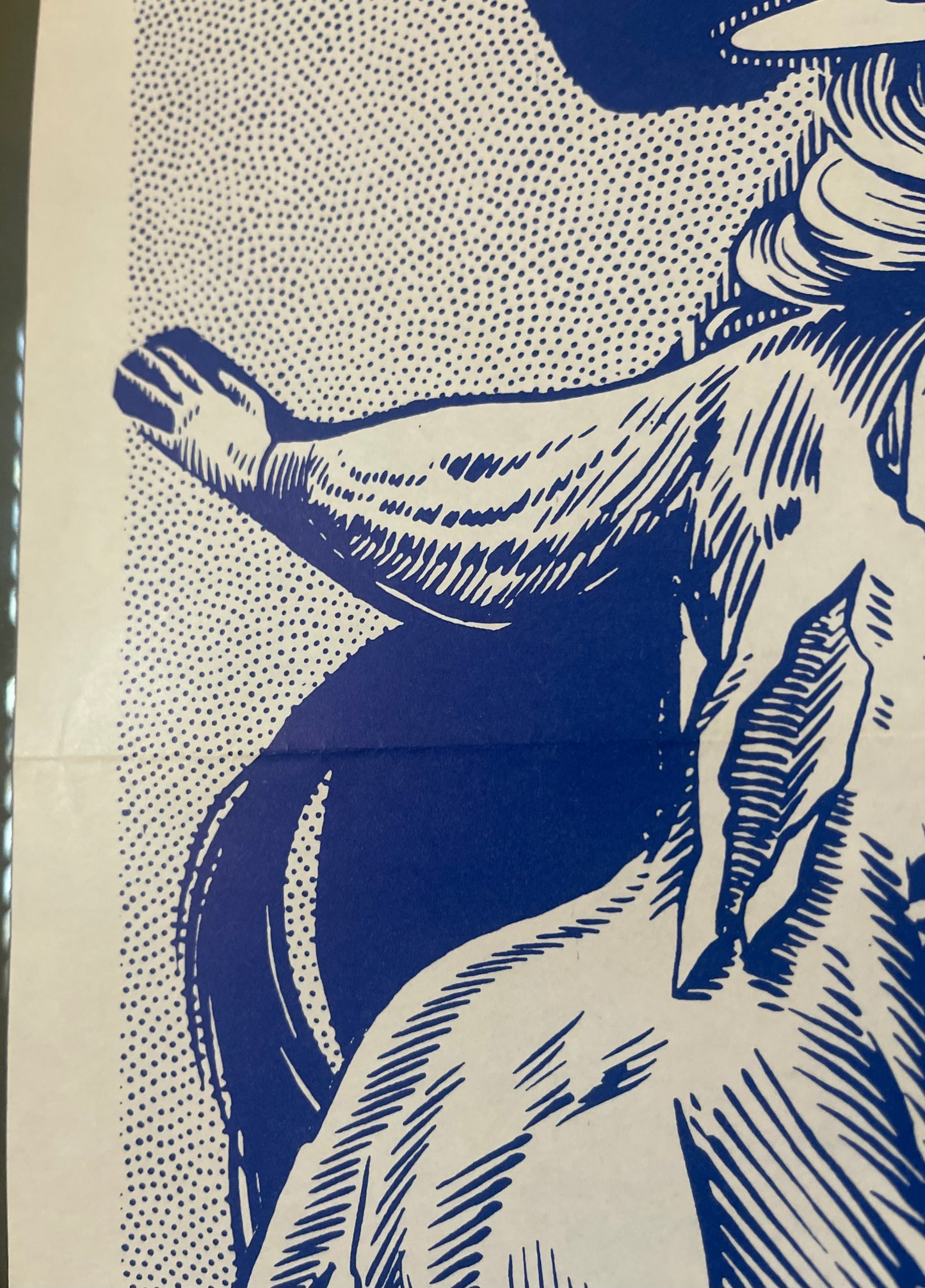 The Erotic Adventures of Zorro (1972) - Daybill