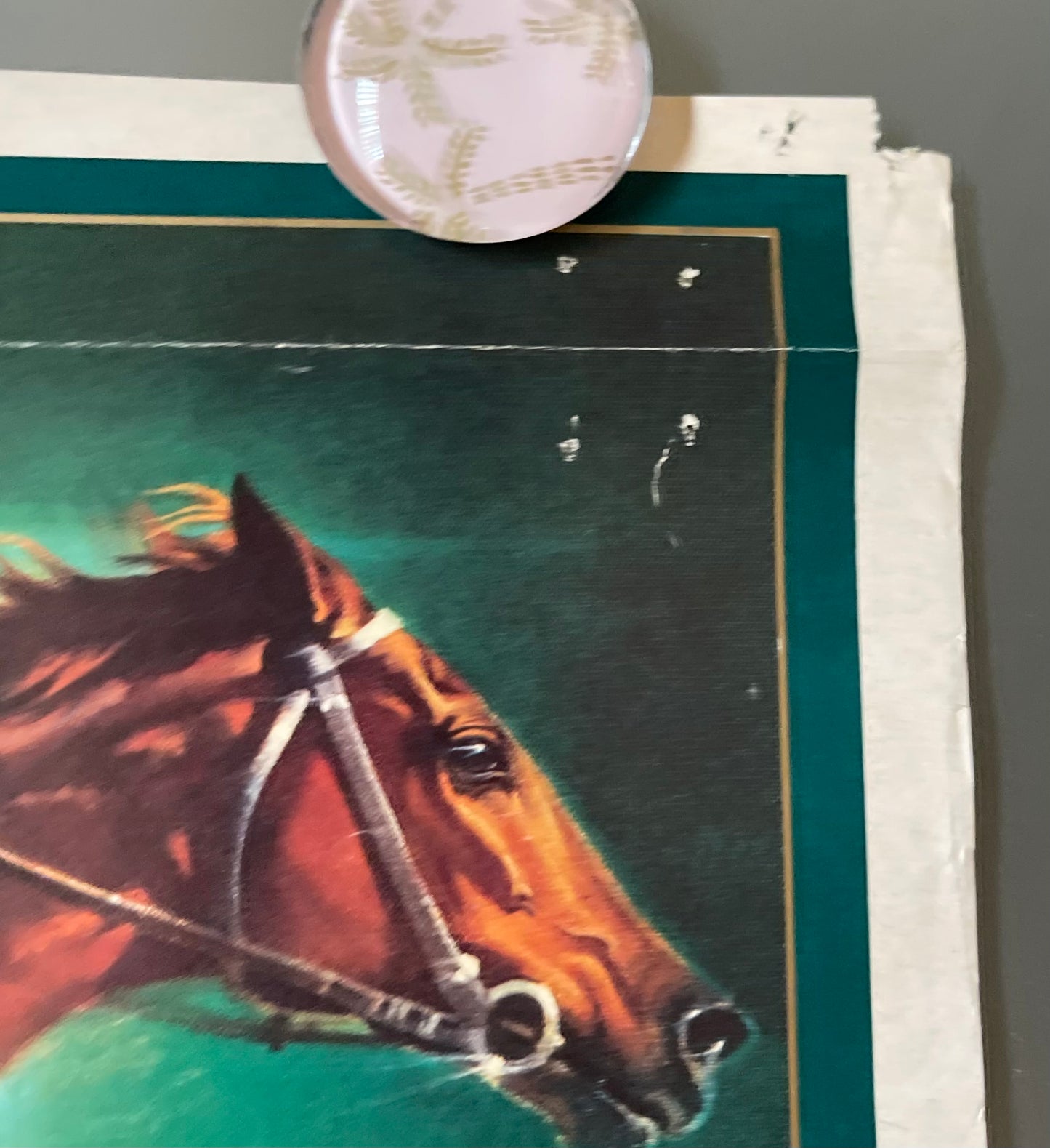 Pharlap (1983) - Daybill