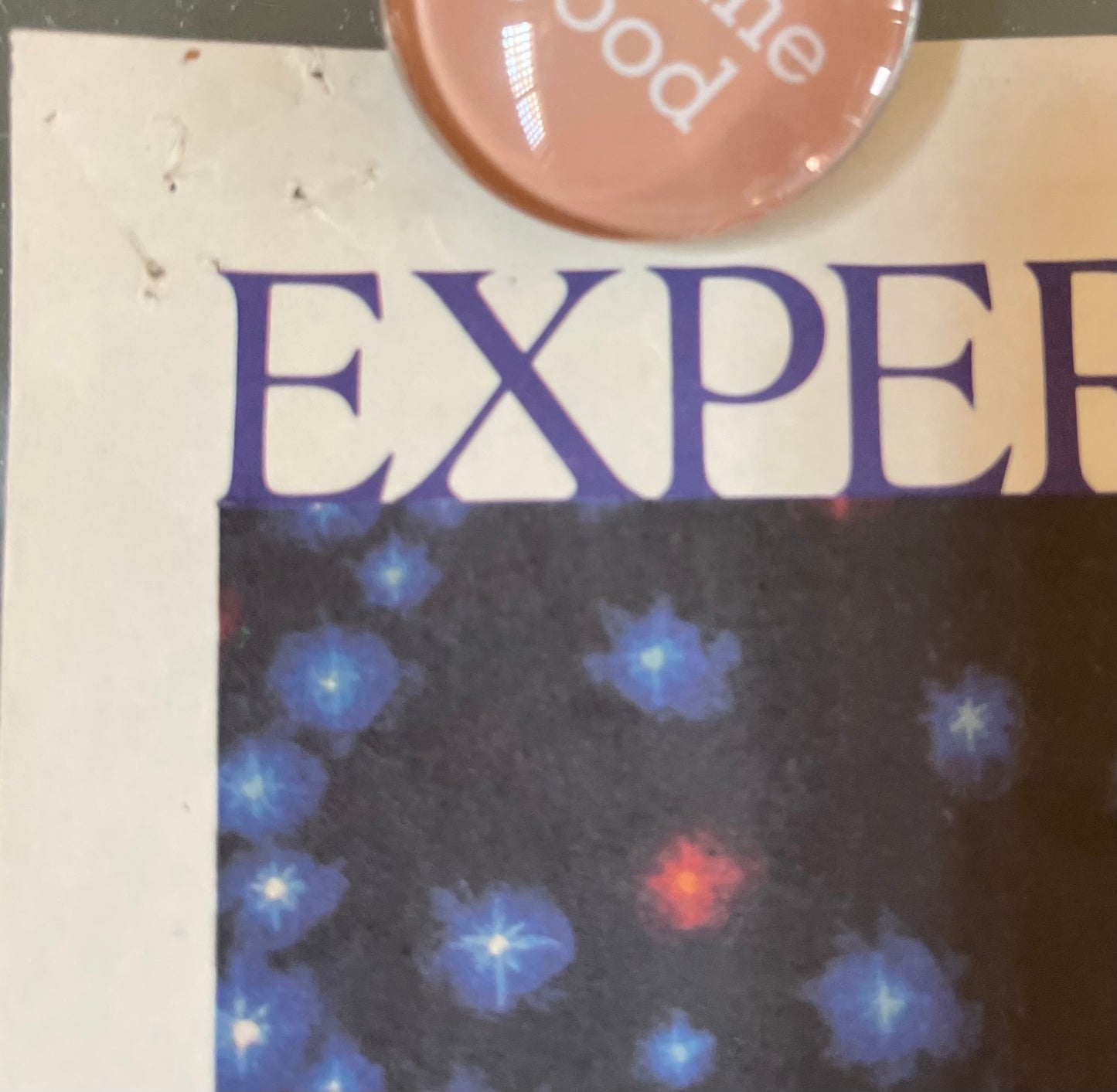 Clash Of The Titans (1981) - Daybill