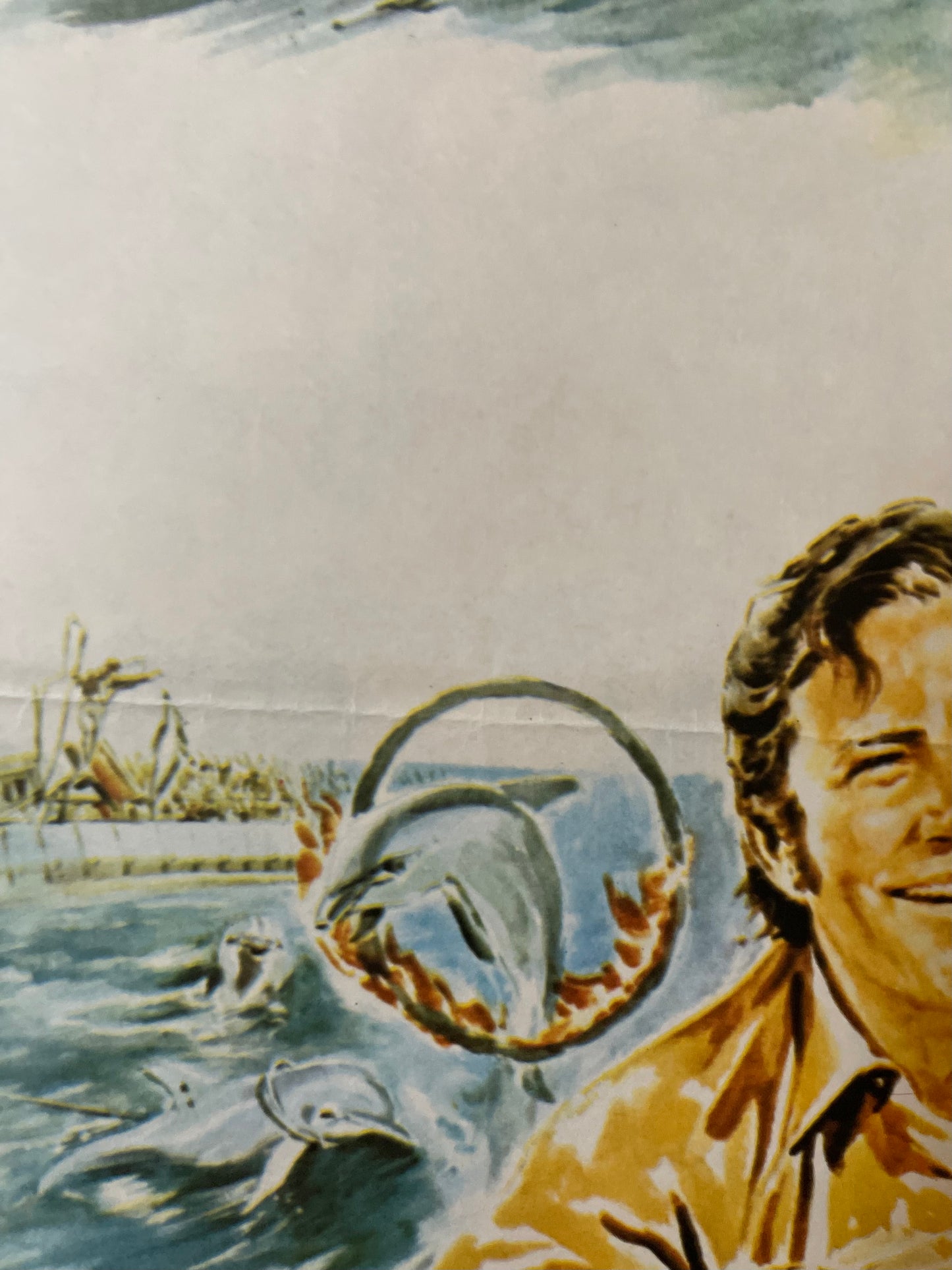 Joey And The Dolphin (1984) - Daybill