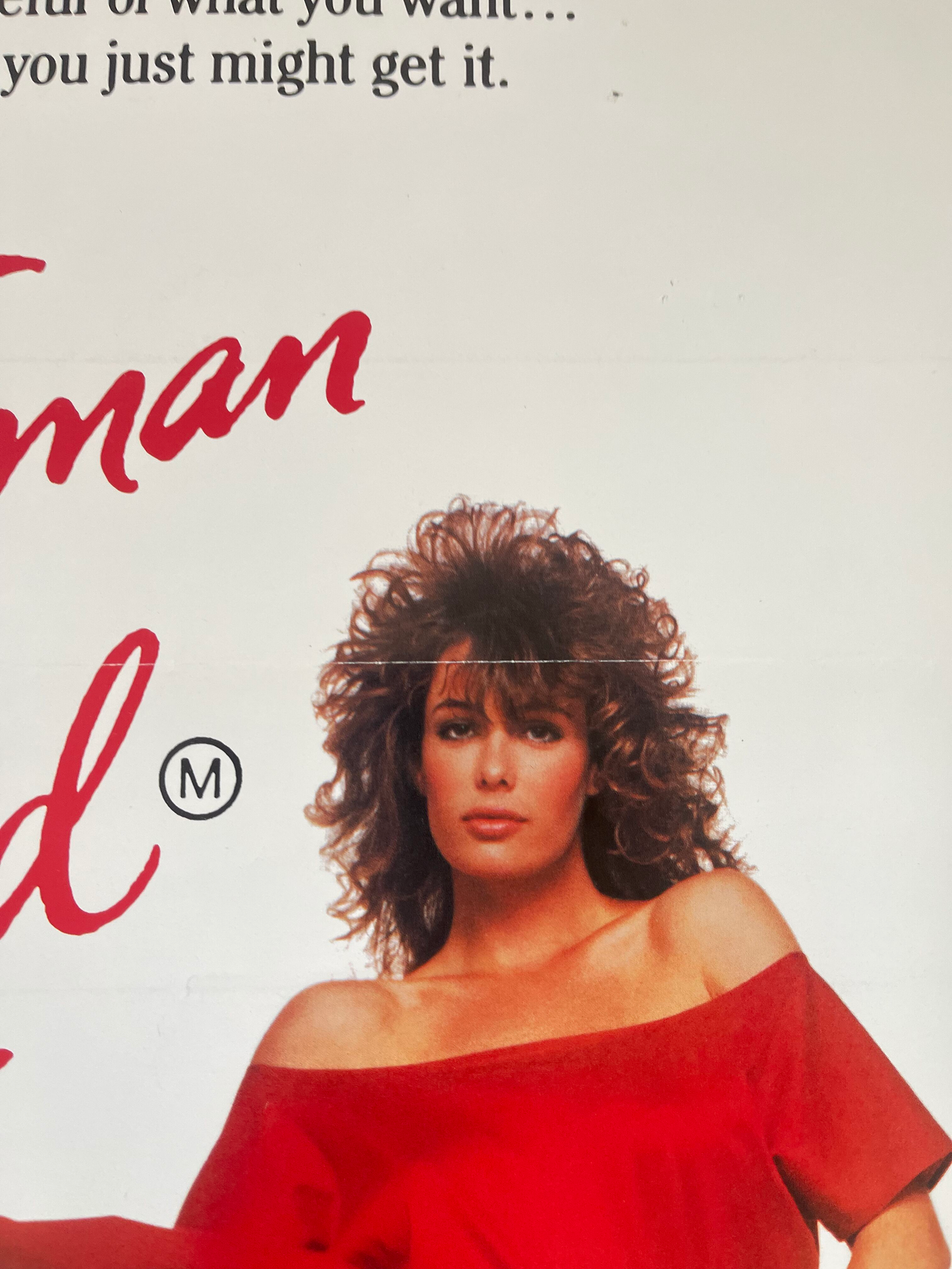 The Woman in Red (1984) - Daybill